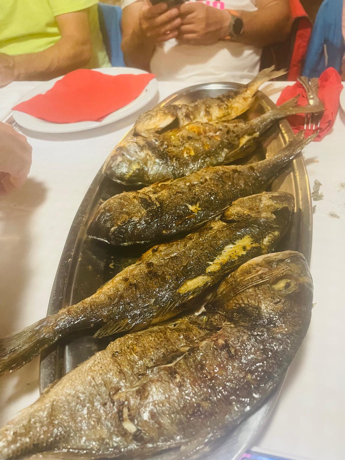 Jadranje po Hrvaški — slika 14